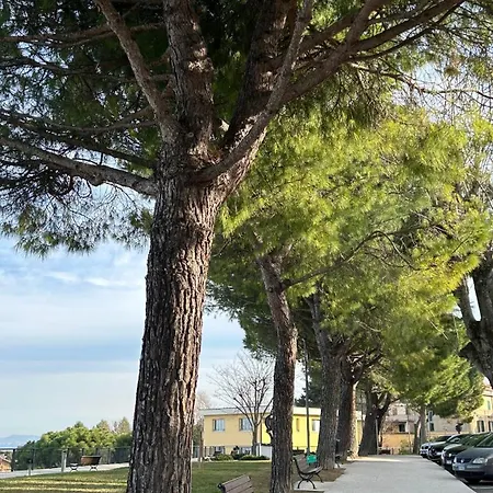 Frühstückspension Cleo Orchidea Falconara Marittima